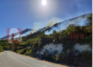 ΒΙΝΤΕΟ: «Βλέπουν» κακόβουλη ενέργεια πίσω από την πυρκαγιά στην περιοχή Ορείτες