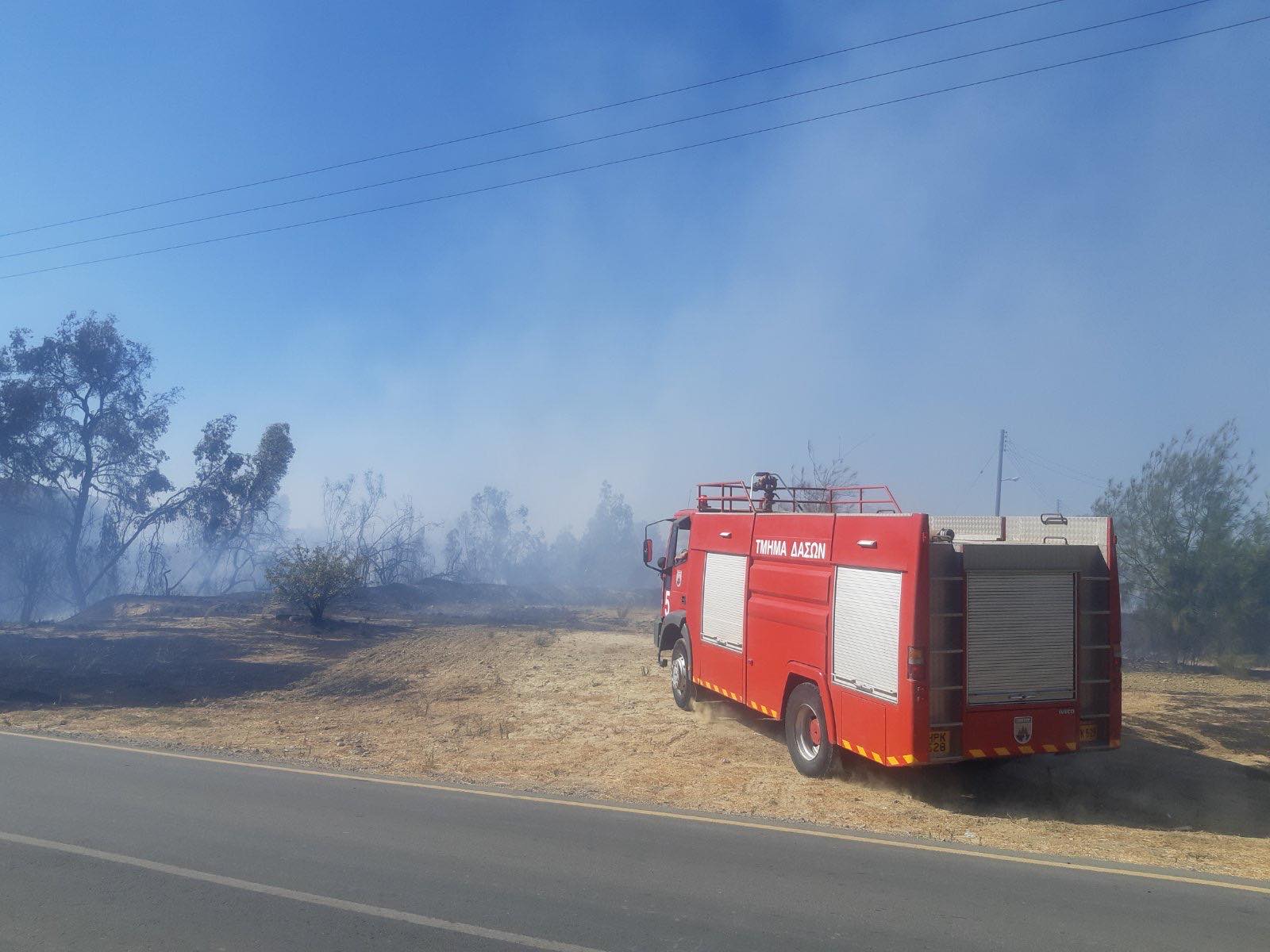 Κατέκαψε έκταση 12 εκταρίων η πυρκαγιά σε δύσβατη περιοχή της επαρχίας Πάφου