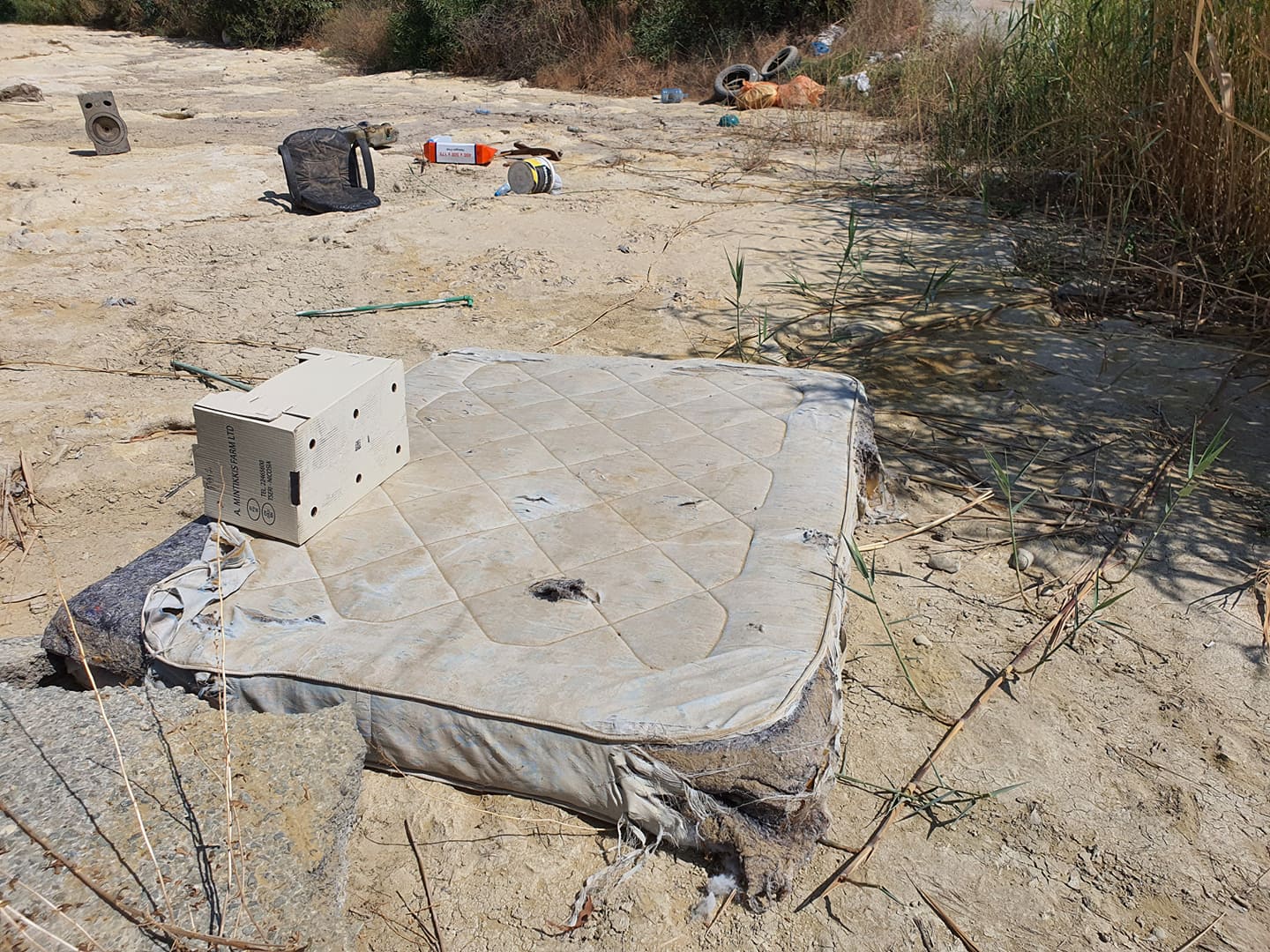 Από την μια οι Δήμοι καθαρίζουν, από την άλλη οι πολίτες λερώνουν (ΒΙΝΤΕΟ)