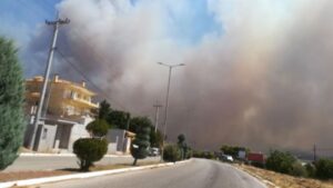 Καίγονται σπίτια στα Καλύβια Αττικής εξαιτίας της ανεξέλεγκτης φωτιάς (BINTEO)