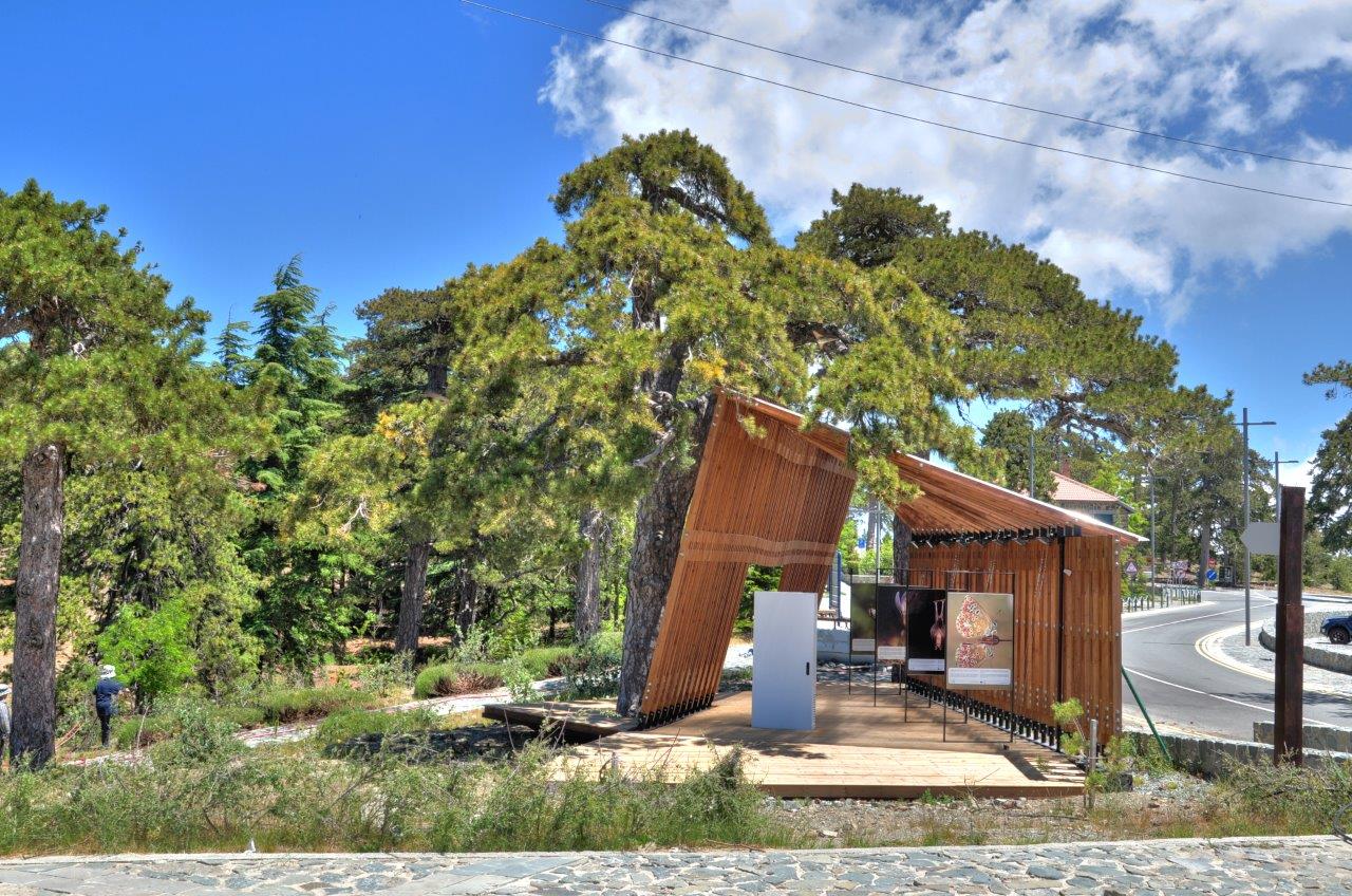 ΤΑ ΣΗΜΑΝΤΙΚΟΤΕΡΑ ΕΠΙΤΕΥΓΜΑΤΑ ΤΟΥ ΕΡΓΟΥ iLIFE-TROODOS