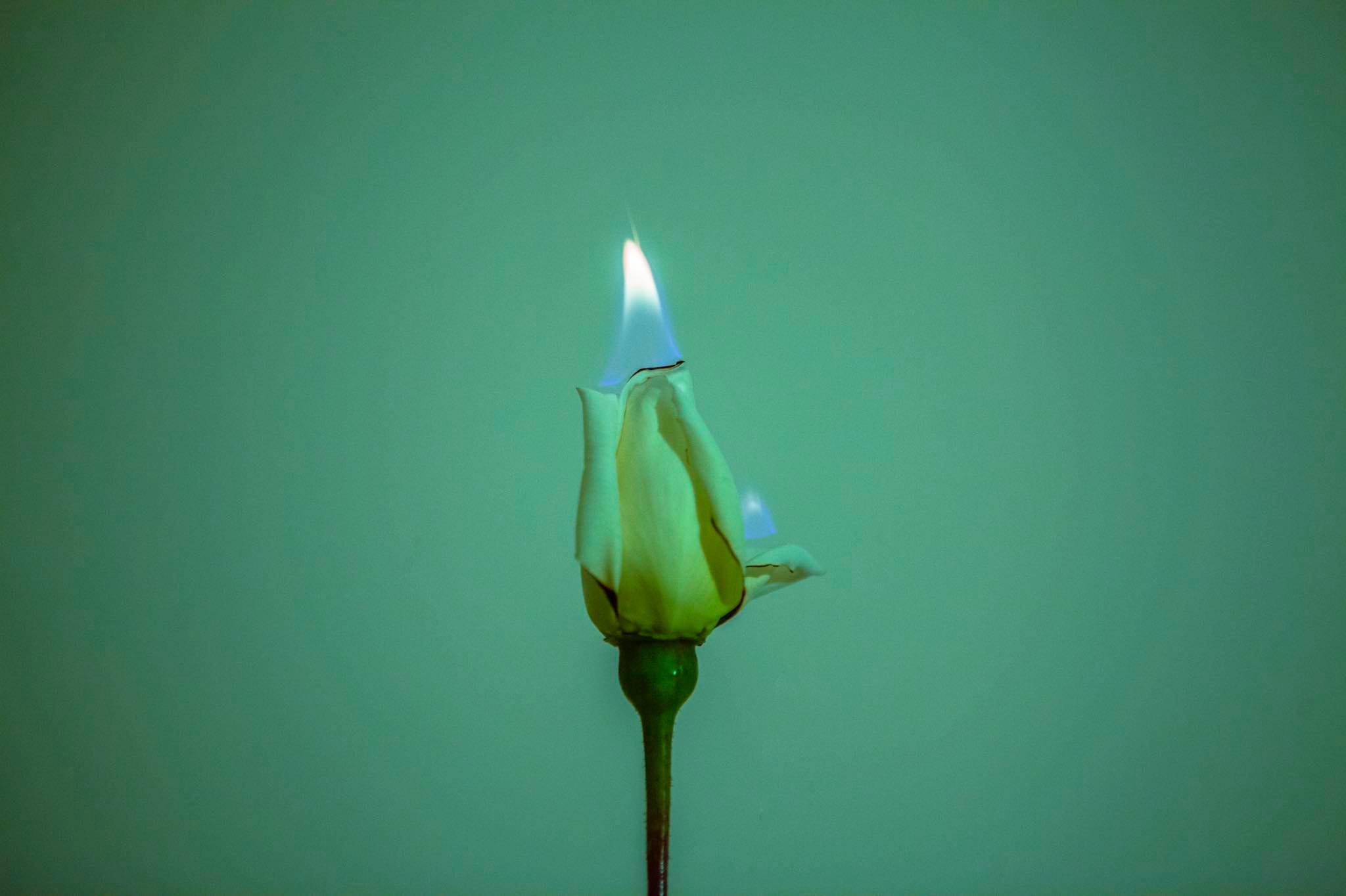 Φθινοπωρινή Έκθεση