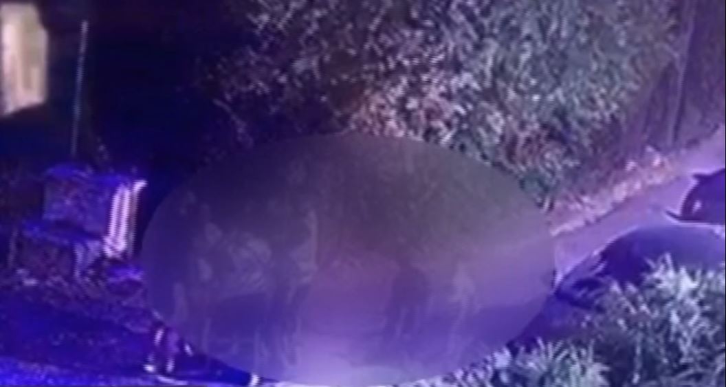 Βίντεο-ντοκουμέντο από επεισοδιακή σύλληψη γυναίκας μπροστά στον 4χρονο γιο της