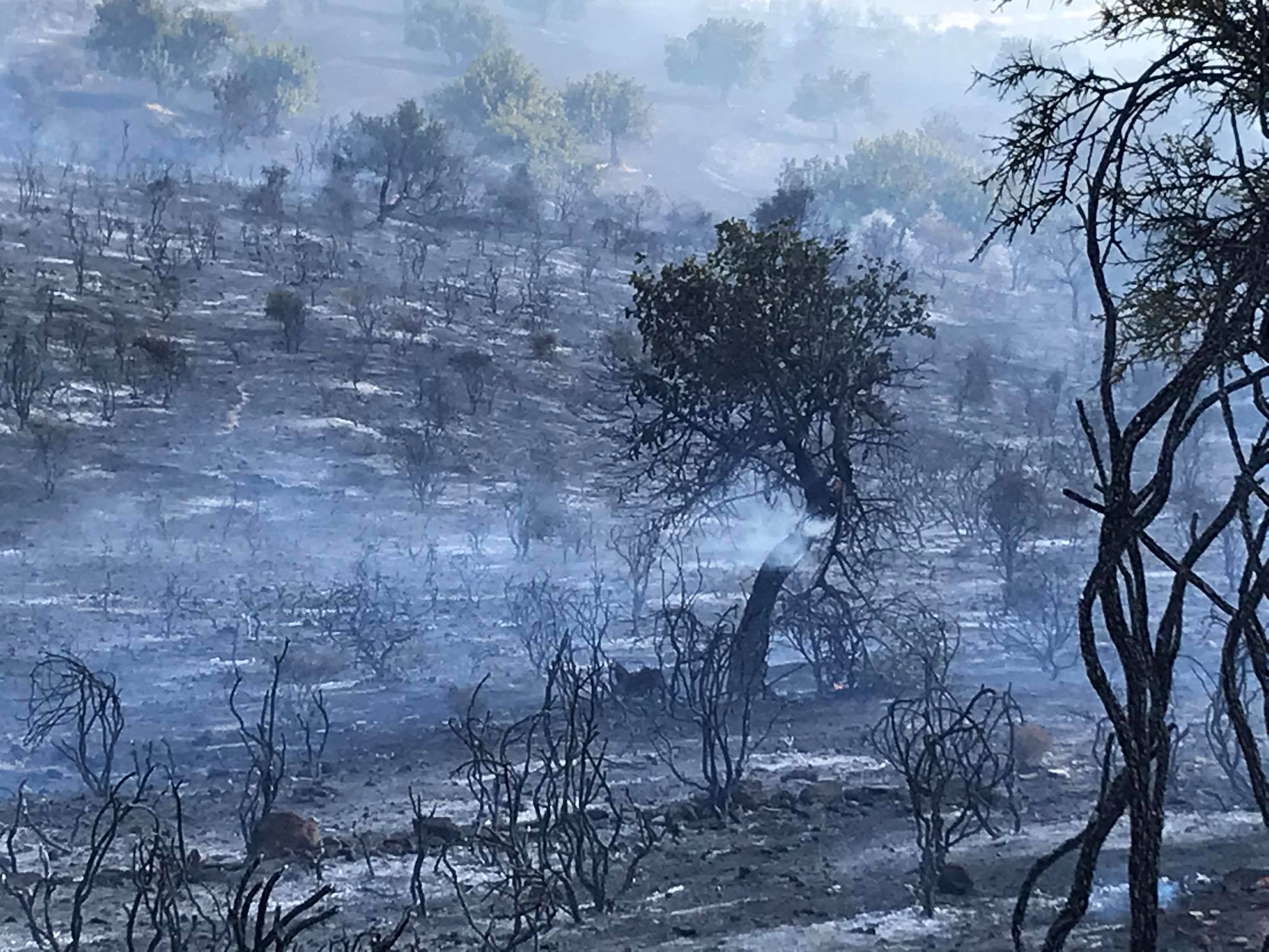 Πυρκαγιά σε περιοχή της κοινότητας Κελοκεδάρων