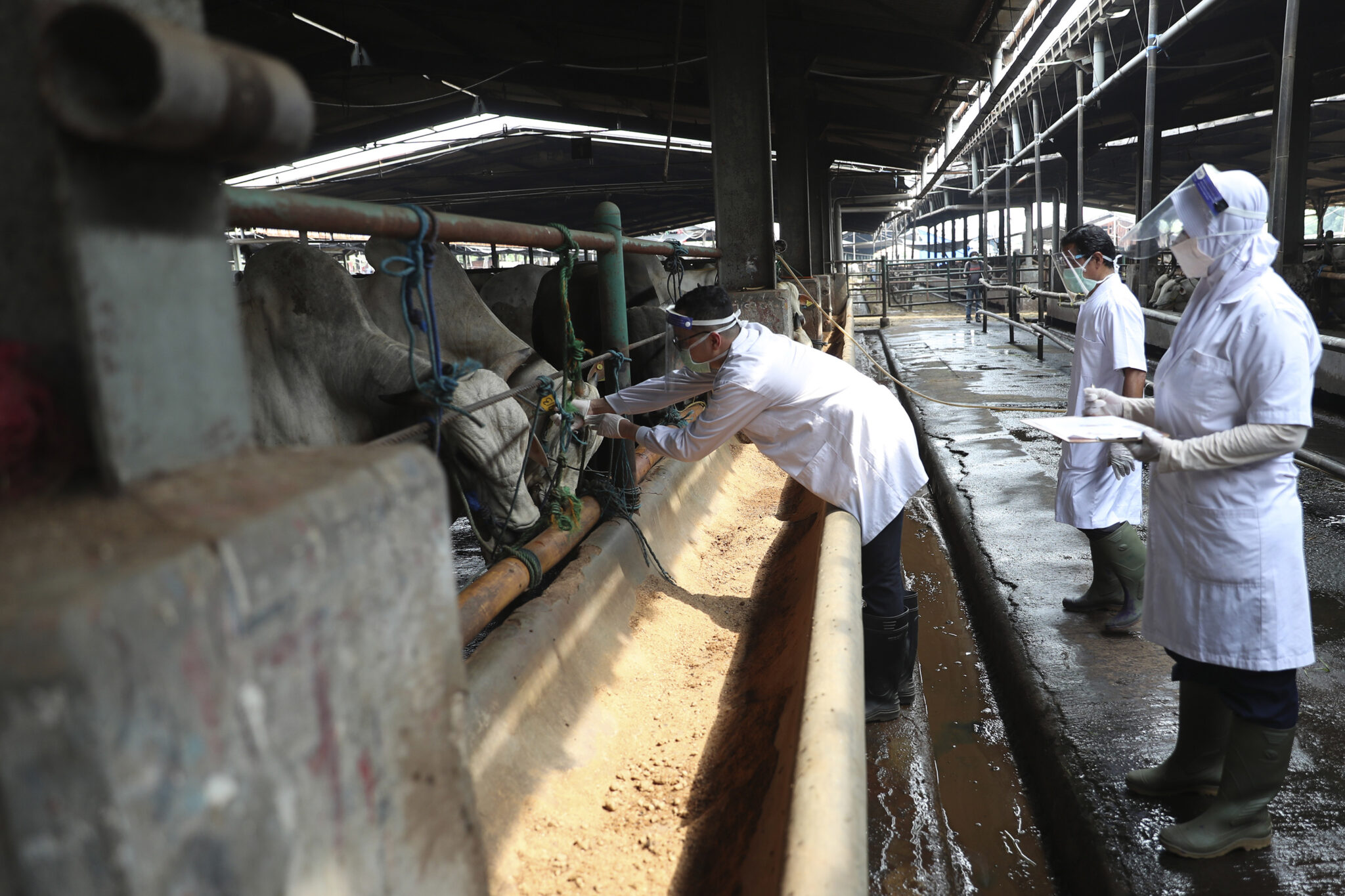 Αλαλούμ με το δεύτερο σφαγείο, "αδικαιολόγητη" η συμπεριφορά του λέει ο Υπουργός