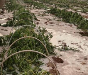 «Σε 10 λεπτά καταστράφηκαν ολοκληρωτικά οι κόποι μιας πολύ σκληρής δουλειάς»