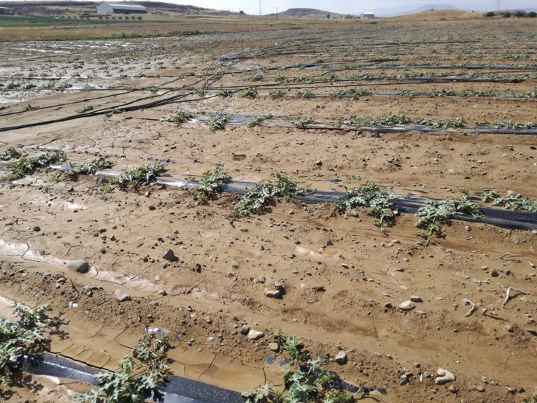 Άρχισε η καταγραφή ζημιών για στήριξη αγροτών που πλήγηκαν από την κακοκαιρία