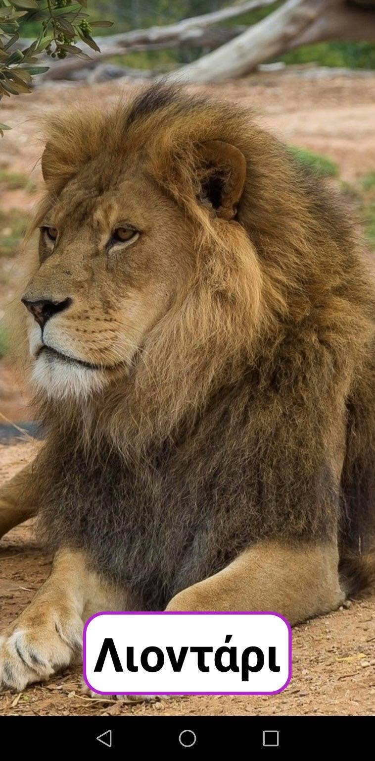 Nέο app (δωρεάν) που αφορά παιδιά από 2 ετών και πάνω, δημιούργησαν δύο Κύπριοι