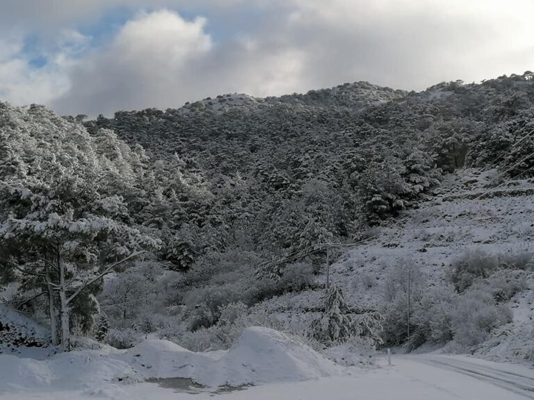 Ενόψει ΣΚ…η Αστυνομία προειδοποιεί για εντατικούς ελέγχους στα ορεινά