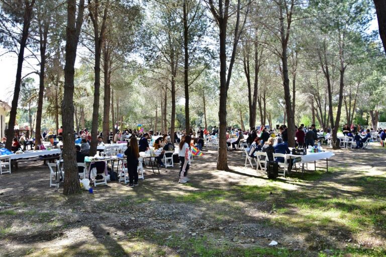 Τμήμα Δασών: Lockdown σε παιδότοπους, εκδρομικούς και κατασκηνωτικούς χώρους