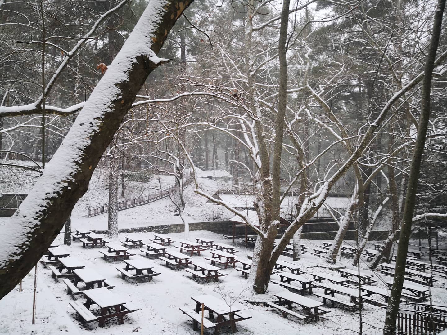 Η χιονόπτωση "σφράγισε" σχολεία στα ορεινά και έκλεισε δρόμους (ΒΙΝΤΕΟ&ΦΩΤΟ)
