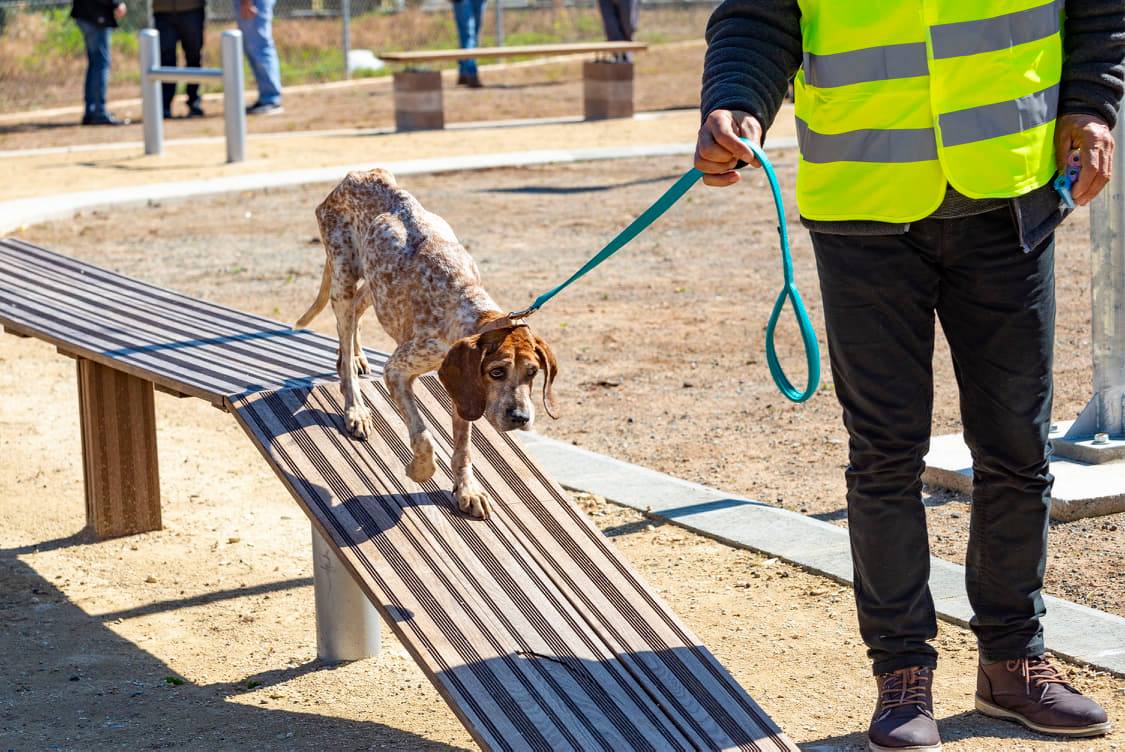 ΦΩΤΟ: Έτοιμο να ανοίξει τις πόρτες του το πάρκο αναψυχής για σκύλους στη Λεμεσό