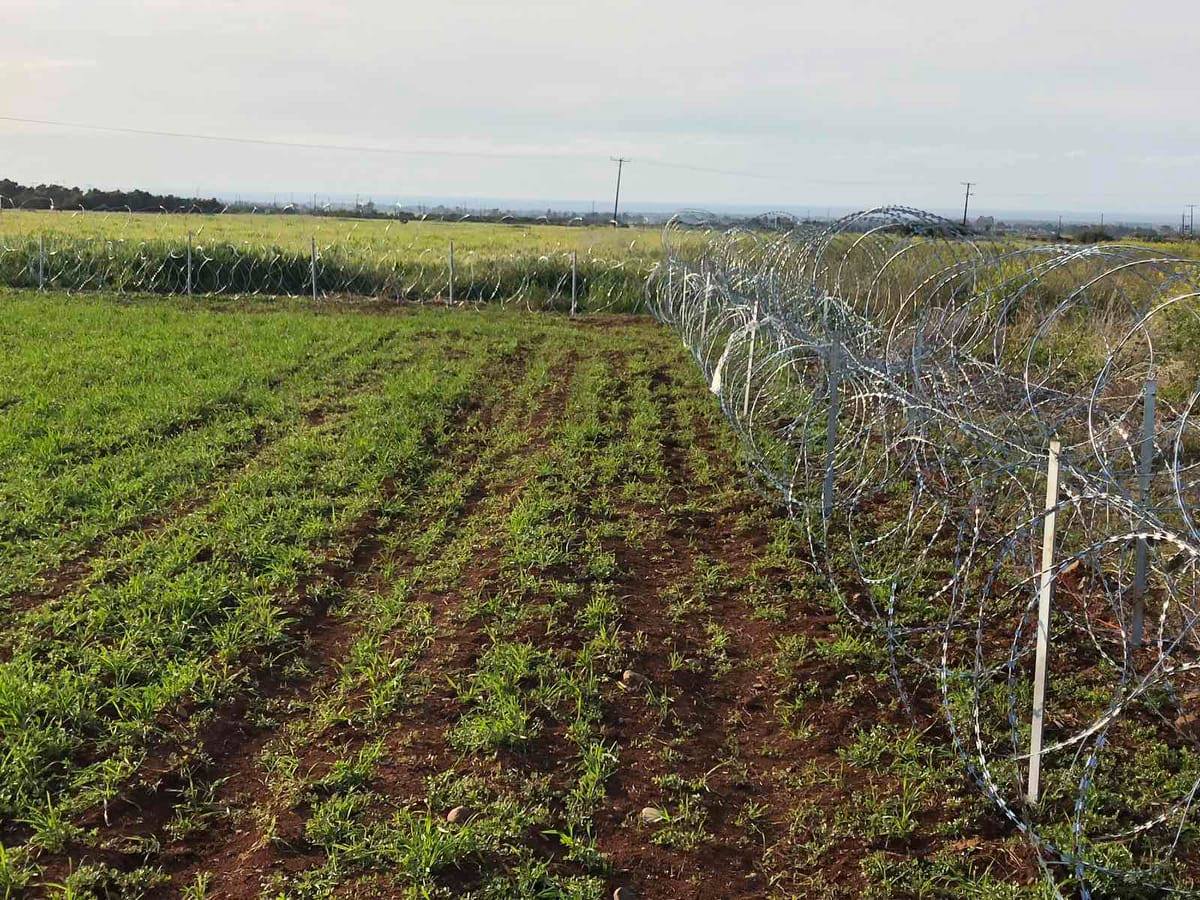Αντιδρούν για το συρματόπλεγμα: "Ο Τούρκος μπορεί να τους δώσει και ενα ψαλίδι"