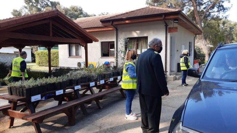 Γιατί «έτρεξαν» οι Κύπριοι να πάρουν δεντράκια από το Τμήμα Δασών (ΒΙΝΤΕΟ)