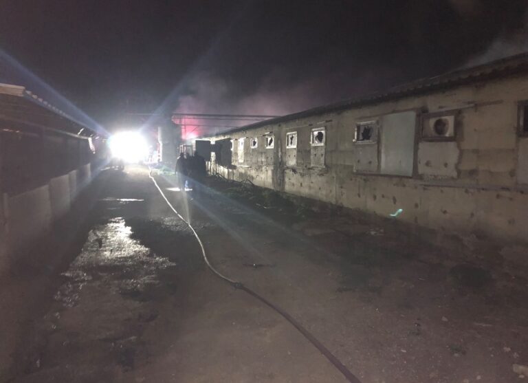 "Είναι δραματικό να βλέπεις πόσο ταλαιπωρούνται από μια πυρκαγιά" (ΒΙΝΤΕΟ&ΦΩΤΟ)