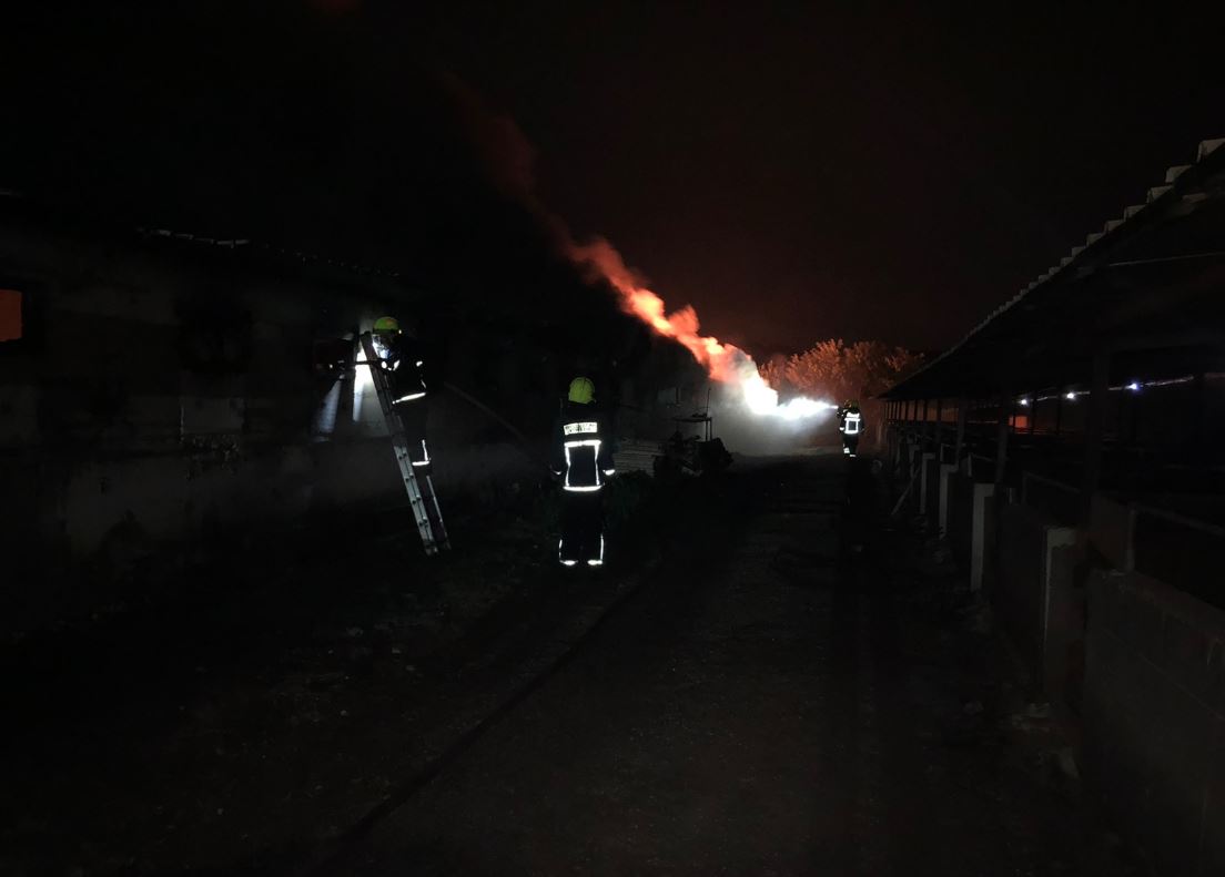 Παρανάλωμα του πυρός μεγάλο χοιροστάσιο: Κάηκε η φάρμα και μεγάλος αριθμός ζώων