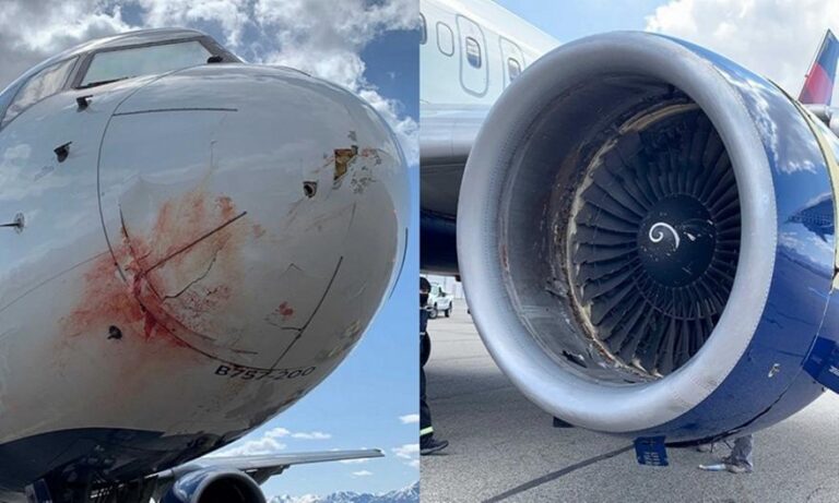 Τρόμος στον αέρα για τους Τζαζ: To αεροπλάνο τους συγκρούστηκε με σμήνος πουλιών