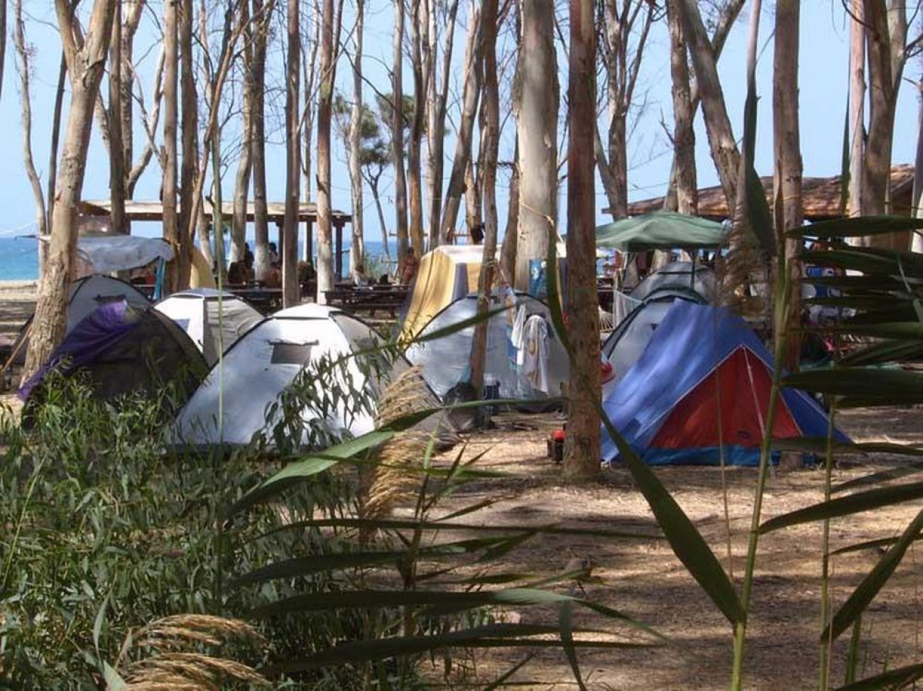 Aλληλοκατηγορίες, απειλές και σύλληψη με "φόντο" το camping της Πόλης Χρυσοχούς