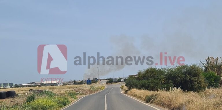 Πυρκαγιά σε λατομείο στη Ξυλοφάγου (ΒΙΝΤΕΟ&ΦΩΤΟ)