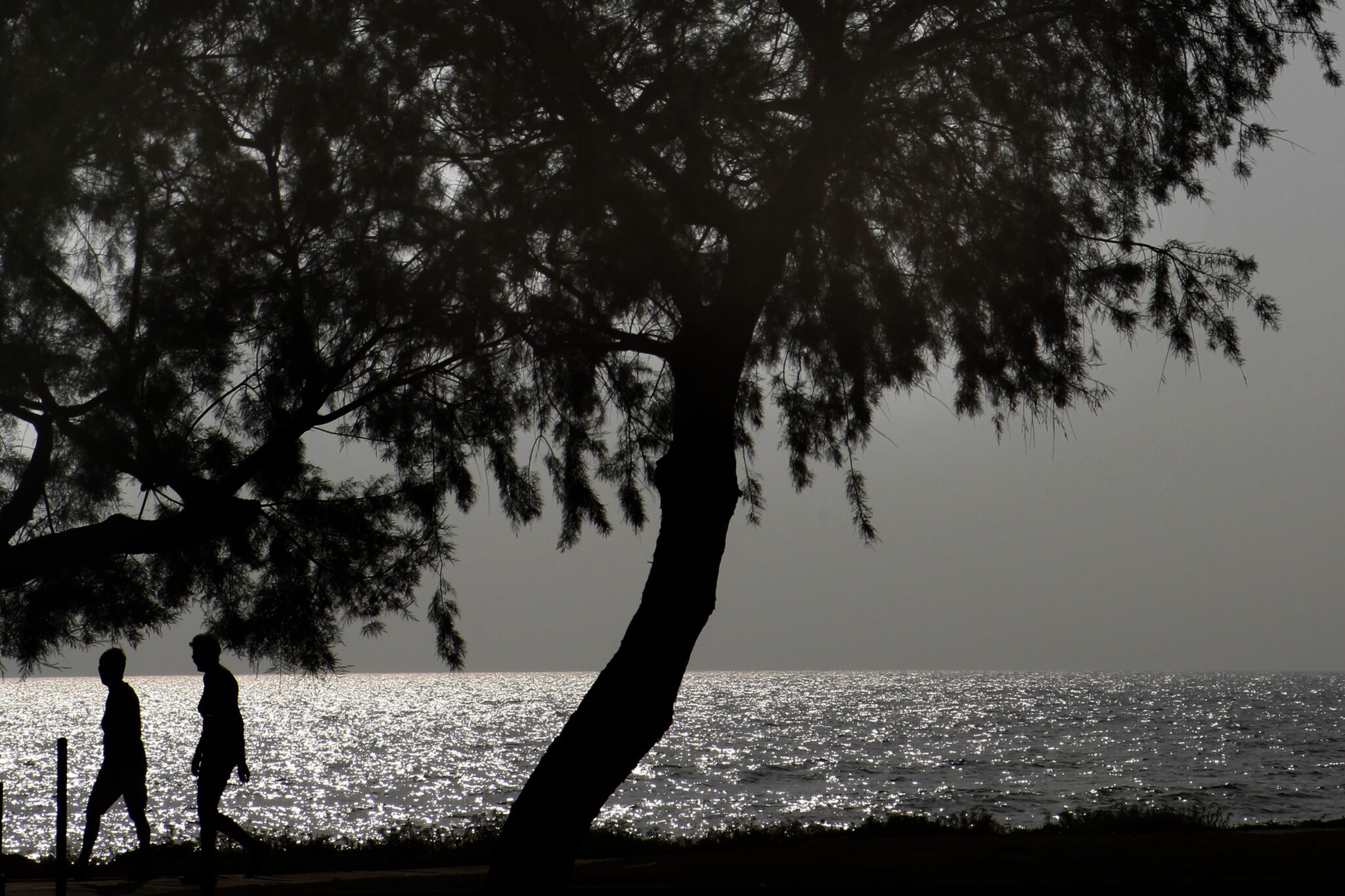 Μετά τις καταιγίδες έρχεται απότομη αύξηση της θερμοκρασίας (ΒΙΝΤΕΟ)