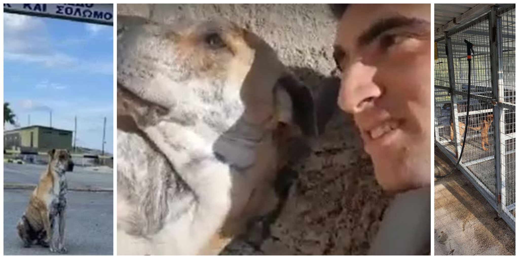 "Κανένας δεν άντεξε να βλέπει τον τρόπο παραλαβής του Bruno" (ΒΙΝΤΕΟ&ΦΩΤΟ)