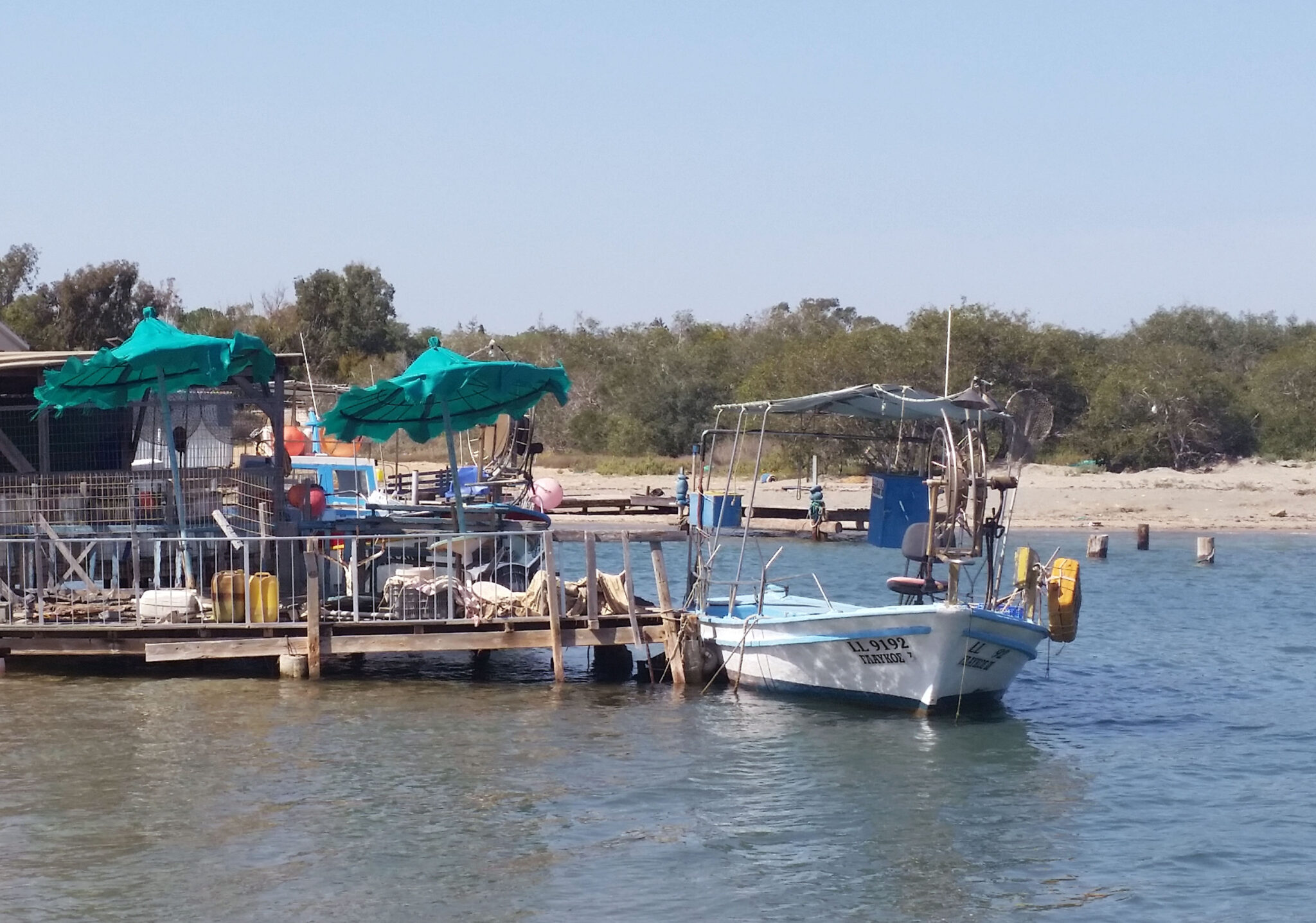 Συναγερμός στις Αρχές: Πτώμα άνδρα στη θαλάσσια περιοχή του ποταμού Λιοπετρίου