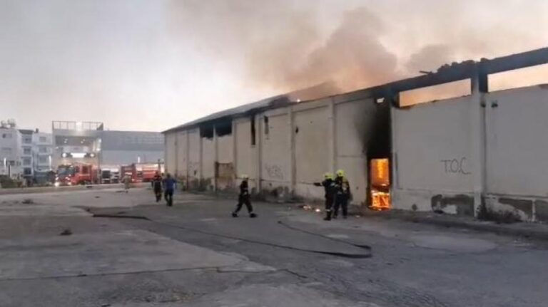 Από "απερίσκεπτες ενέργειες" νεαρών ξέσπασε η φωτιά στους “Χαρουπόμυλους” (VID)