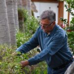 Aνησυχεί ο Δρ. Καραγιάννης για "εισαγωγή" του ινδικού στελέχους από τη Βρετανία