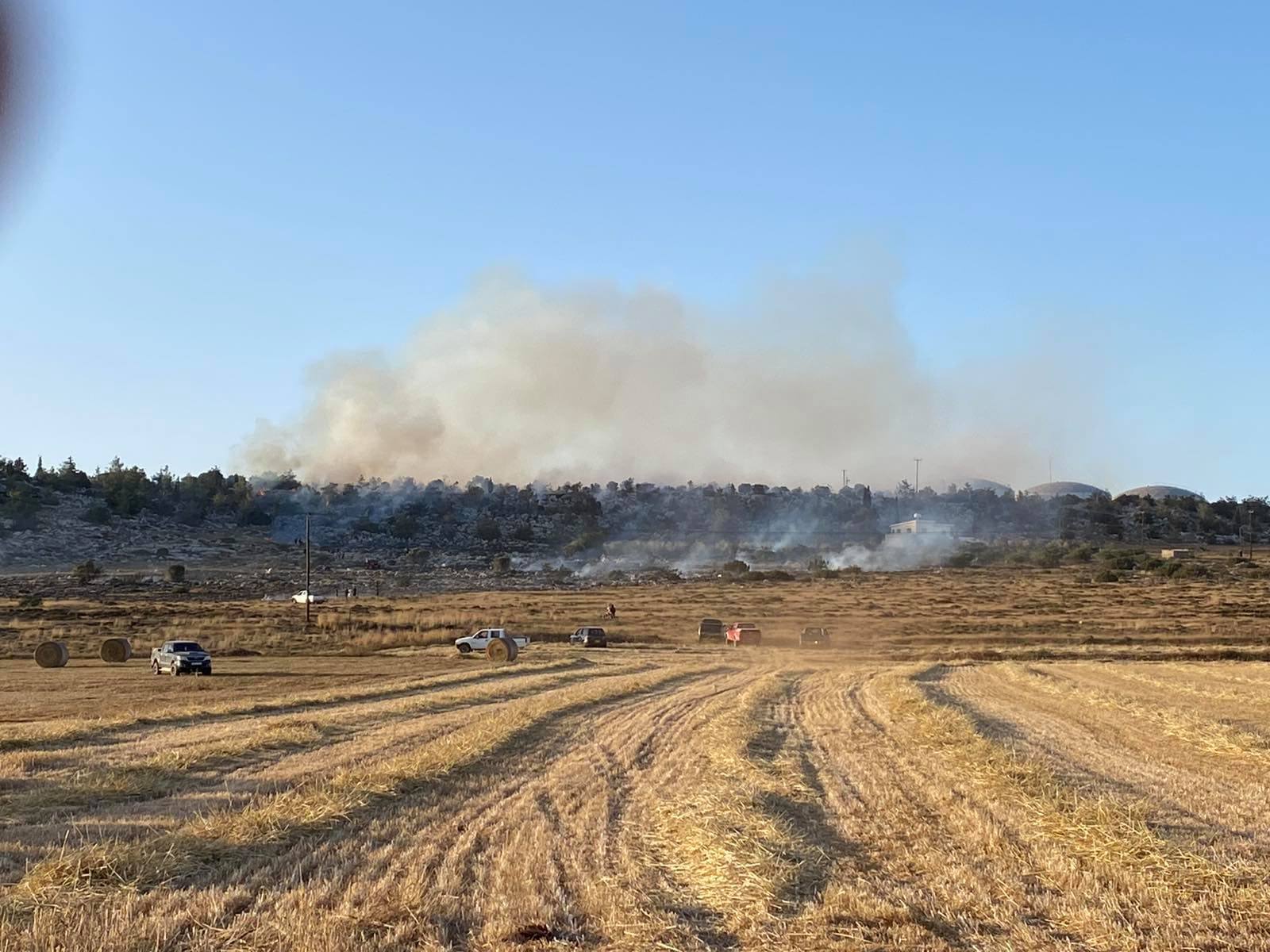 Μάχη με τις φλόγες στο δάσος της Σωτήρας, επί ποδός το Τμήμα Δασών (ΦΩΤΟ)