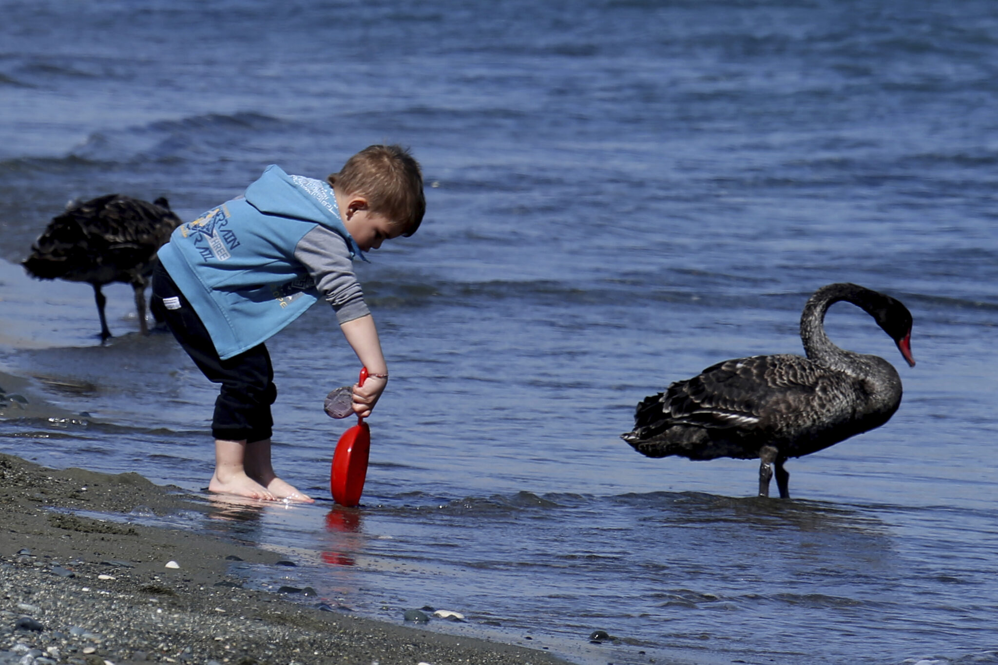 Φτάνει 37 βαθμούς κελσίου η θερμοκρασία και αναμένεται περαιτέρω άνοδος