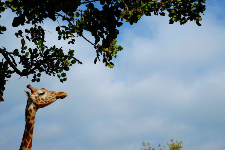 Καιρός για βουτιές στις παραλίες αλλά ψύχρα τα βράδια