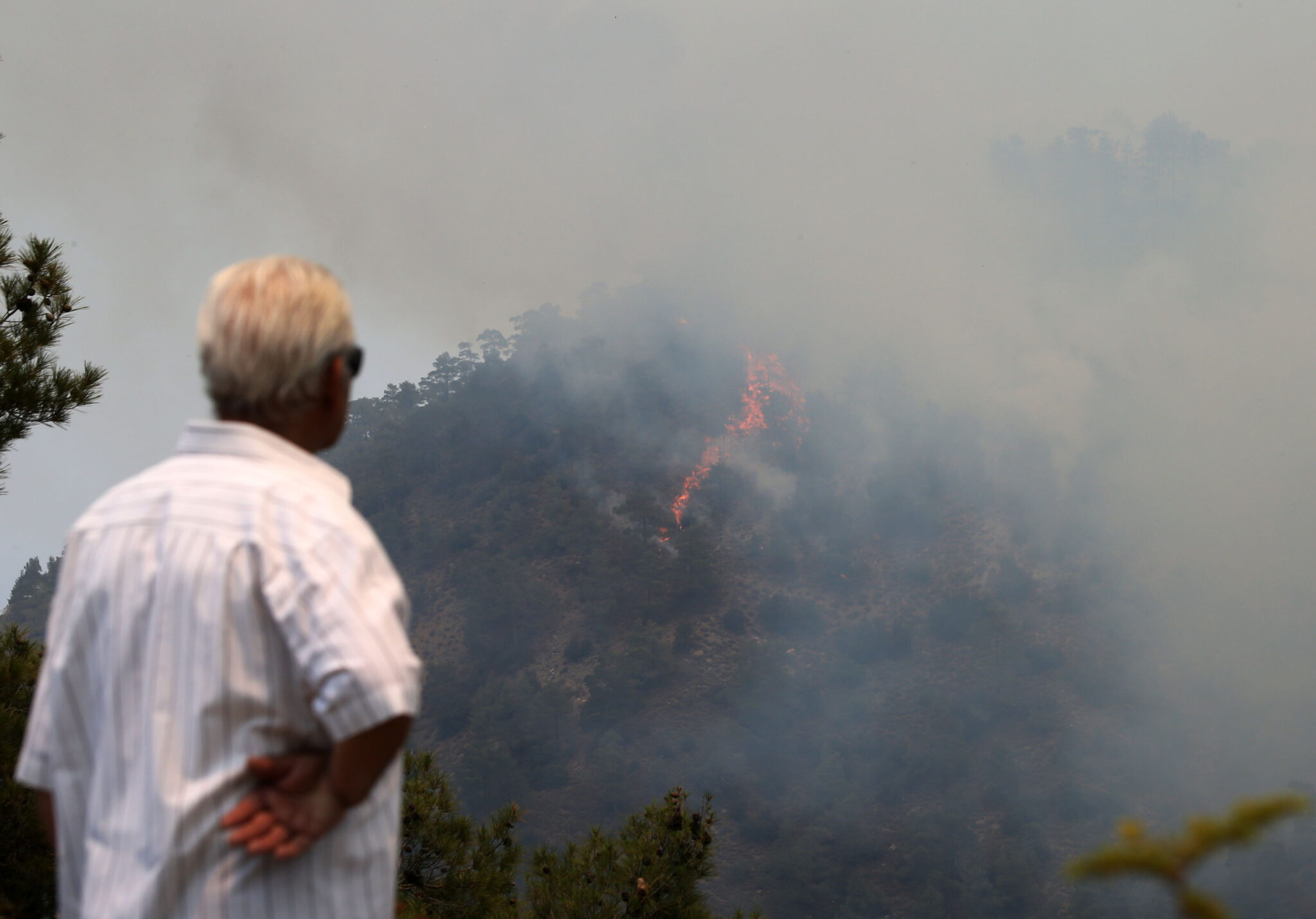 Χωράφια-ζούγκλα σε όλη την Κύπρο…αυξημένος κίνδυνος για πυρκαγιές (VID)