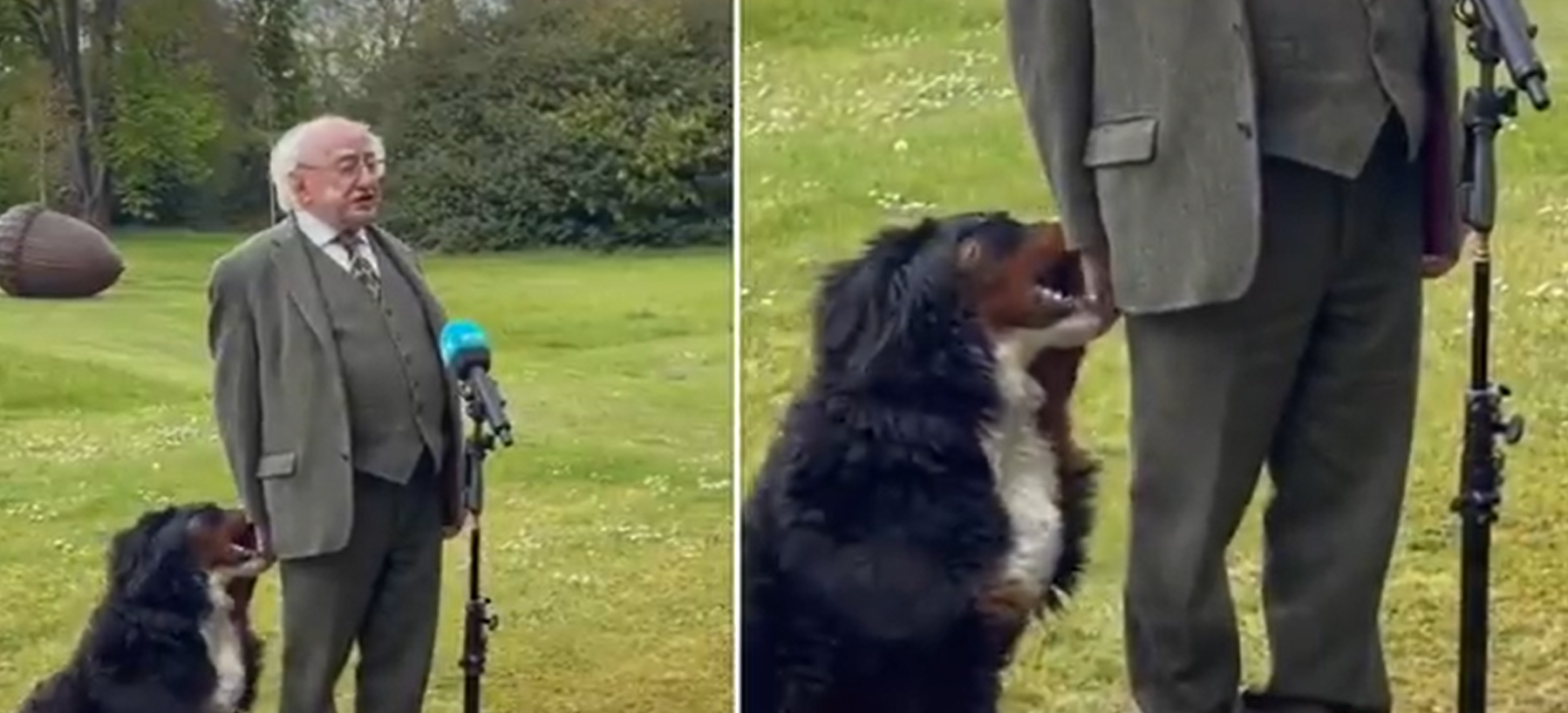 Ο Πρόεδρος της Ιρλανδίας δίνει συνέντευξη αλλά ο σκύλος του τραβάει τη προσοχή