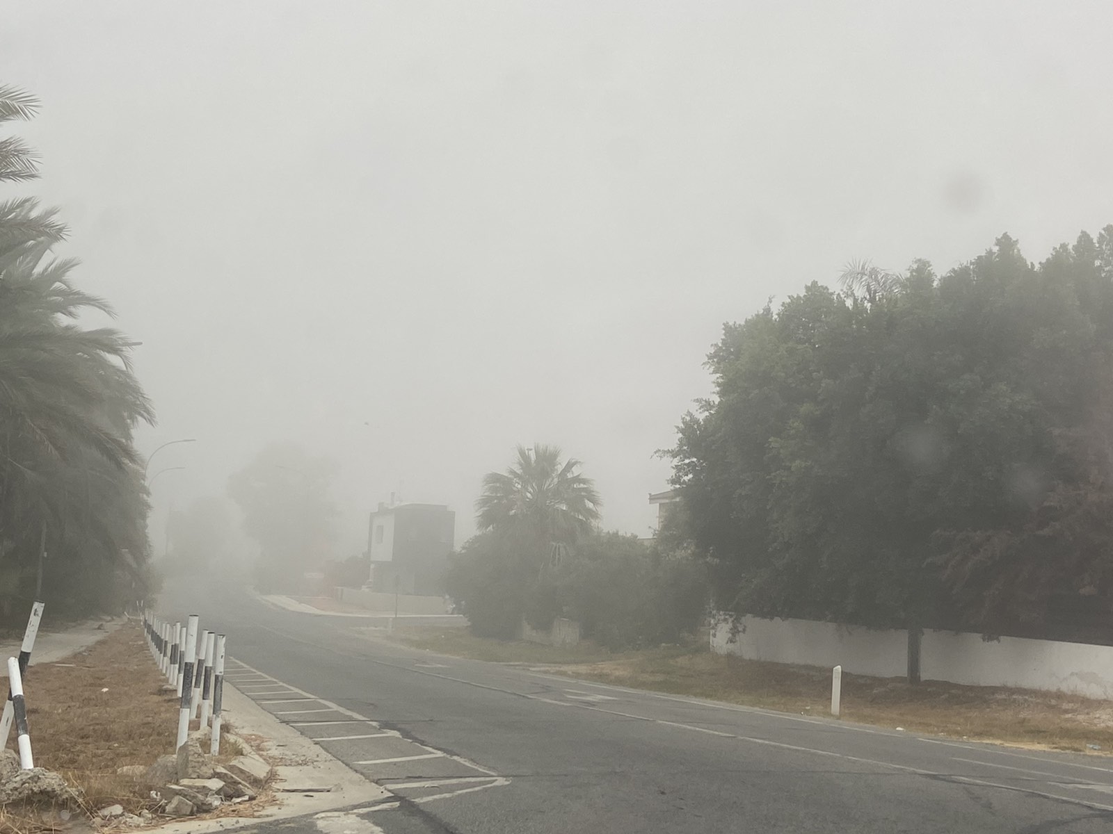 Πυκνή ομίχλη "σκέπασε" περιοχές της Κύπρου, έρχονται βροχές (ΦΩΤΟ)