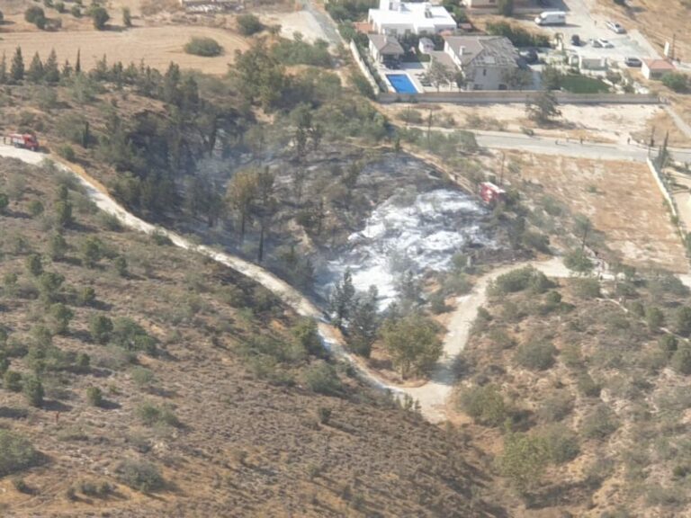 Πυρκαγιά στη Νήσου: Στη μάχη και εναέρια μέσα (ΒΙΝΤΕΟ)
