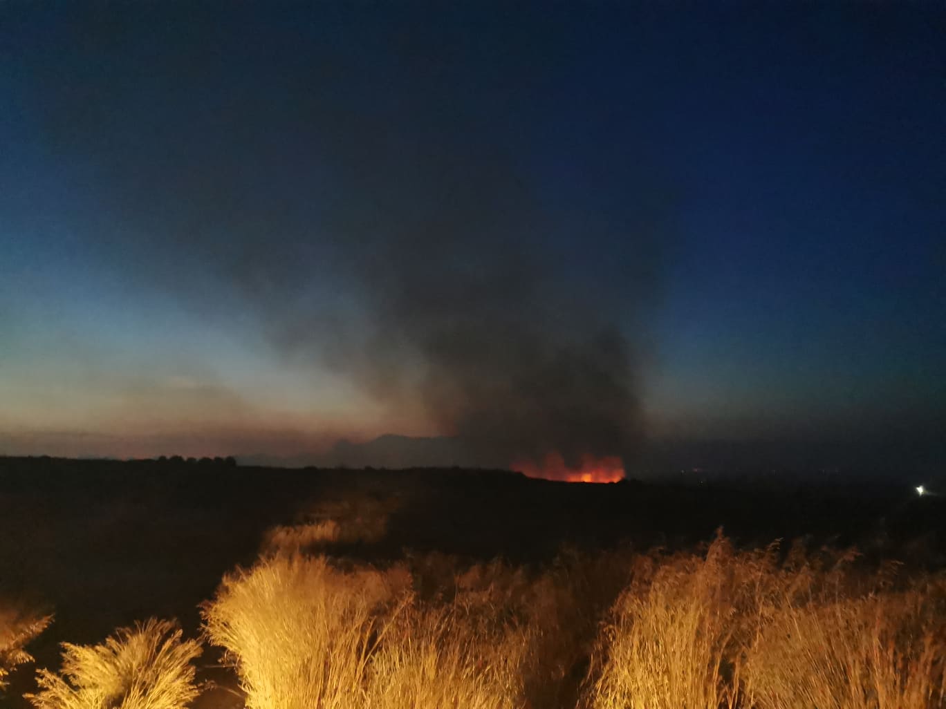 Σε επιφυλακή η πυροσβεστική: Πυρκαγιά στα κατεχόμενα επεκτάθηκε στη Νεκρά Ζώνη