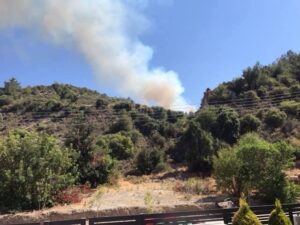 ΒΙΝΤΕΟ: Διαχειρίσιμες οι πυρκαγιές σε Λεμεσό και Πάφο, τελικές κατασβέσεις