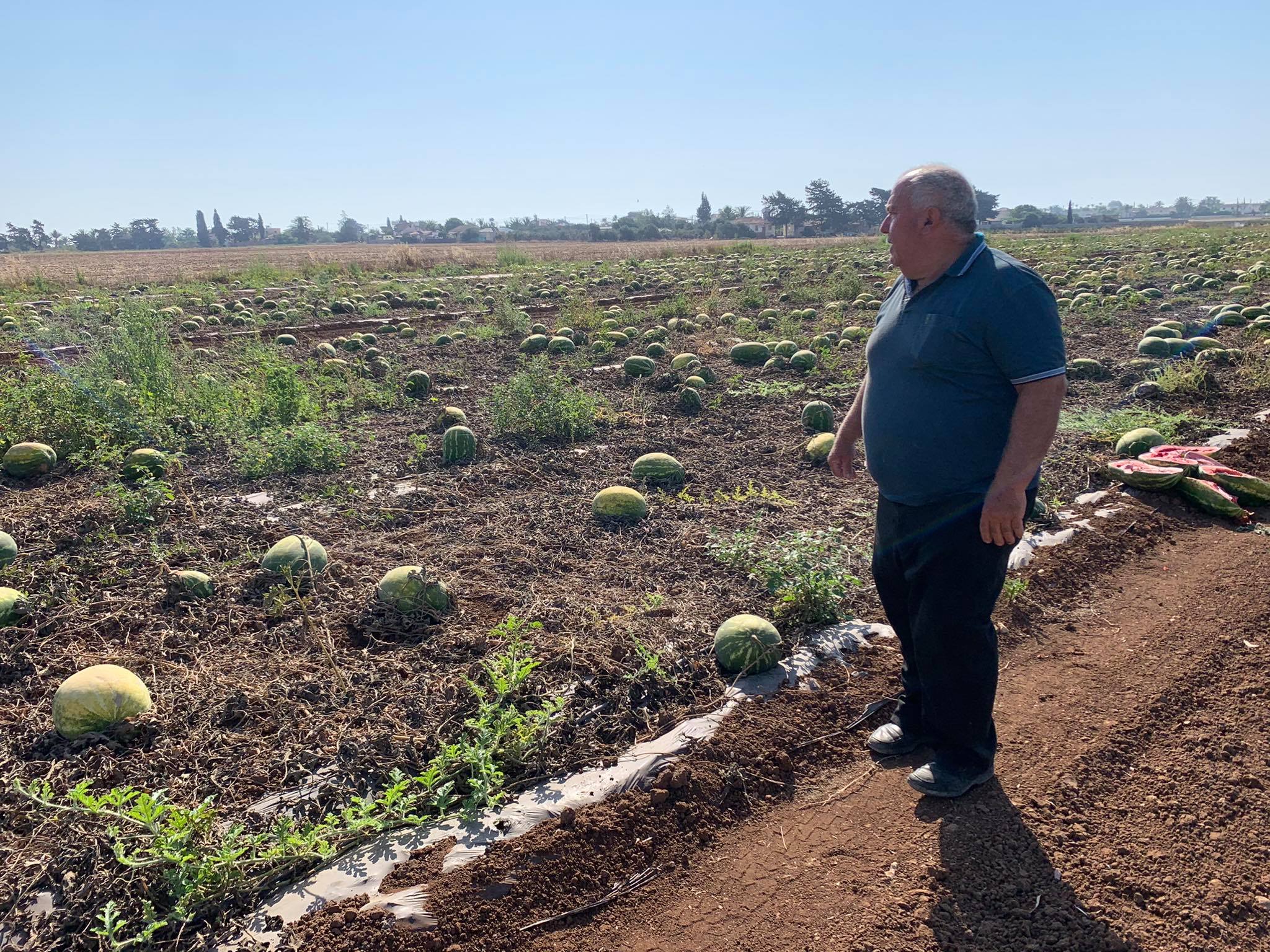 Σε απόγνωση οι γεωργοί: "Λες και χάνεις κάτι από την οικογένειά σου" (ΒΙΝΤΕΟ)