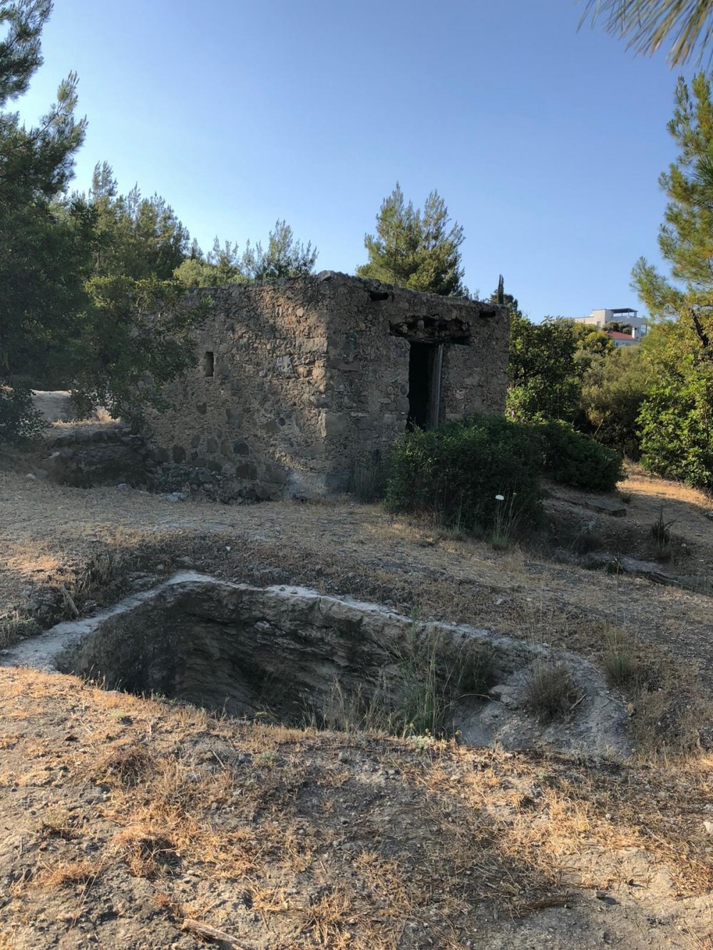 ΦΩΤΟ: Καταρρέει λόγω έλλειψης φροντίδας η αρχαία Νεκρόπολη στο Κάρμι