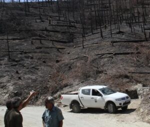 Πρόλαβαν τα χειρότερα οι δασοπυροσβέστες στο Λιοπέτρι
