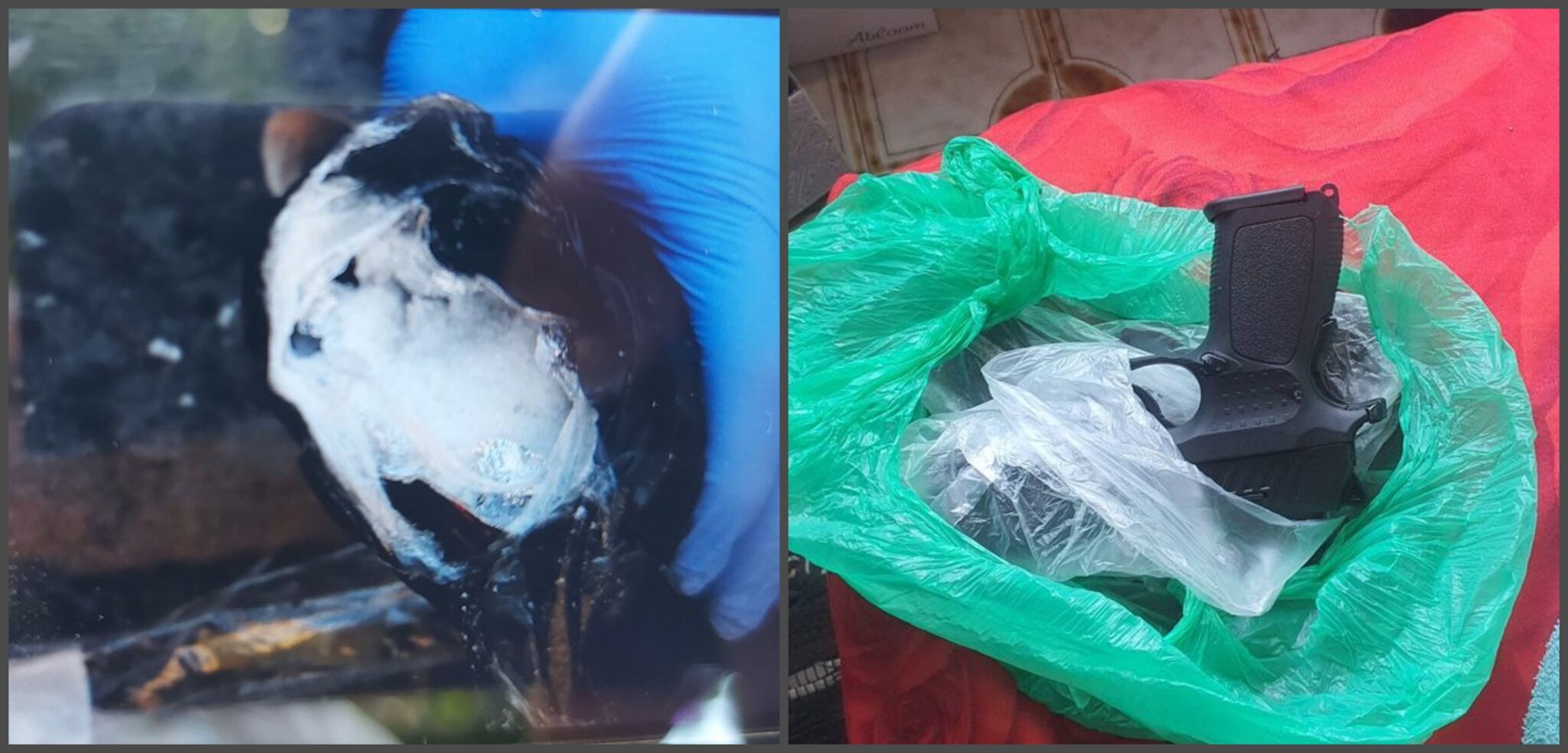 Υπόθεση με ναρκωτικά και όπλα: Στα ίχνη νέου εργαστηρίου παρασκευής crystal ice