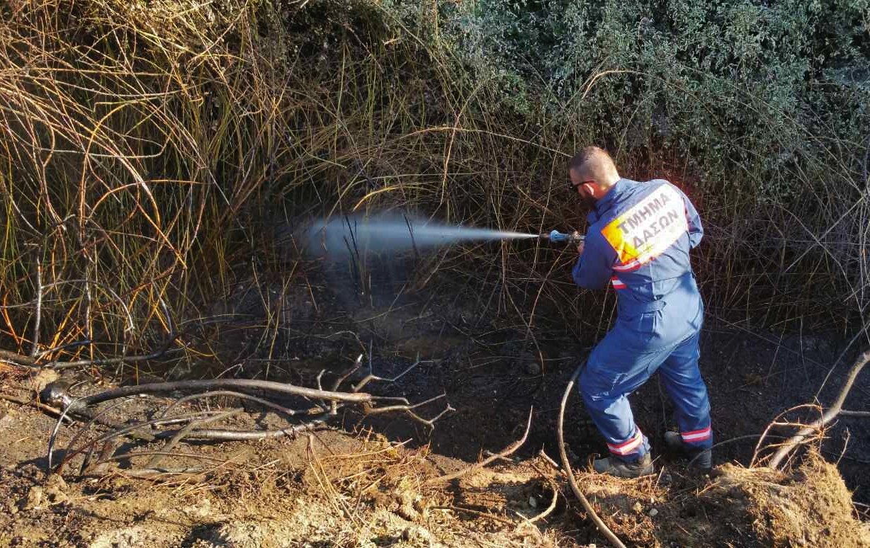 Σε συναγερμό το Τμήμα Δασών: Πυρκαγιά σε δασική περιοχή της κοινότητας Μαθιάτη