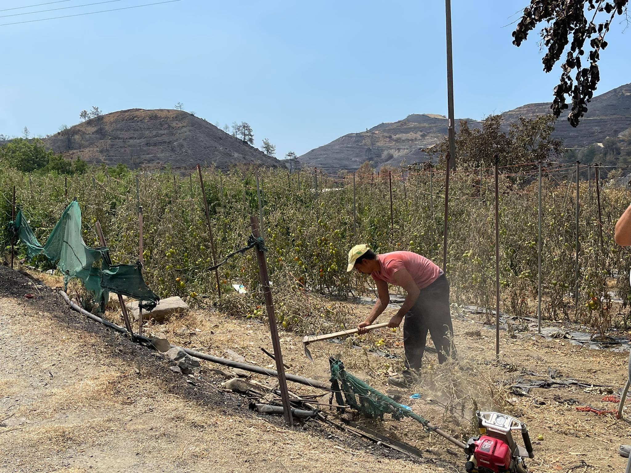 Τα έξι μέτρα του Υπουργικού Συμβουλίου για στήριξη των πυρόπληκτων αγροτών