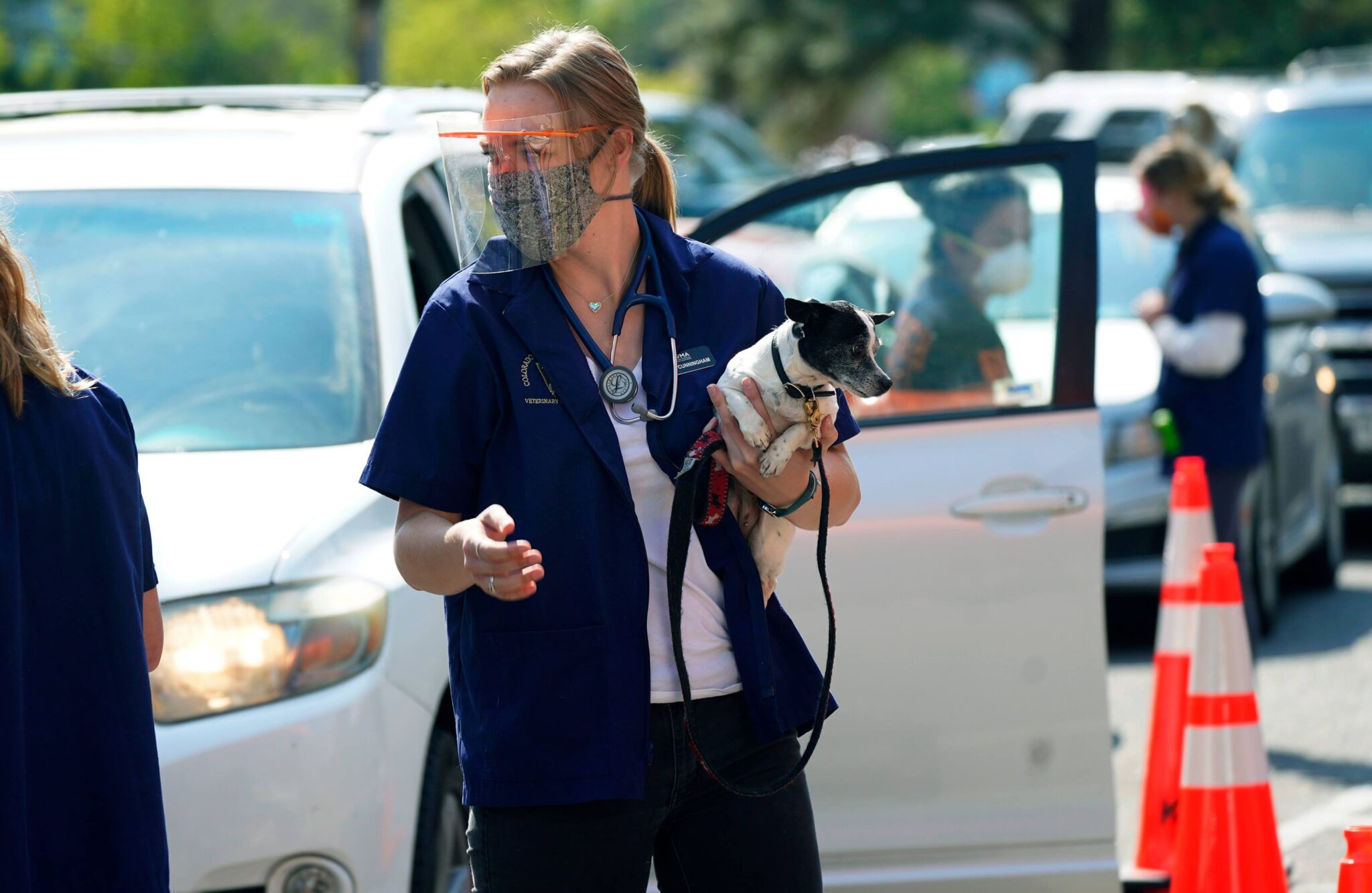 Κι όμως, σκύλοι και γάτες κολλάνε Covid από τους ιδιοκτήτες τους, λένε έρευνες