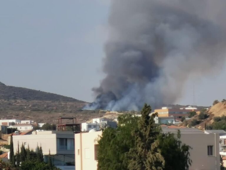 Έκαψε εγκαταλελειμμένα οχήματα και πέντε εκτάρια γης η πυρκαγιά στη Λεμεσό