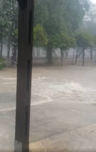 Έβρεξε και πάλι προβλήματα: Έπεσαν δέντρα, πλημμύρισαν δρόμοι και υποστατικά