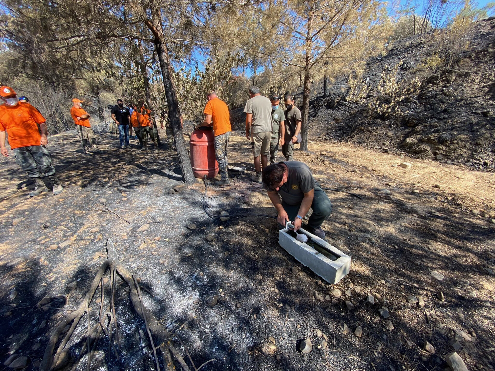 Πράξη ανθρωπιάς από εθελοντές: Τοποθέτησαν ποτίστρες στις πυρόπληκτες περιοχές