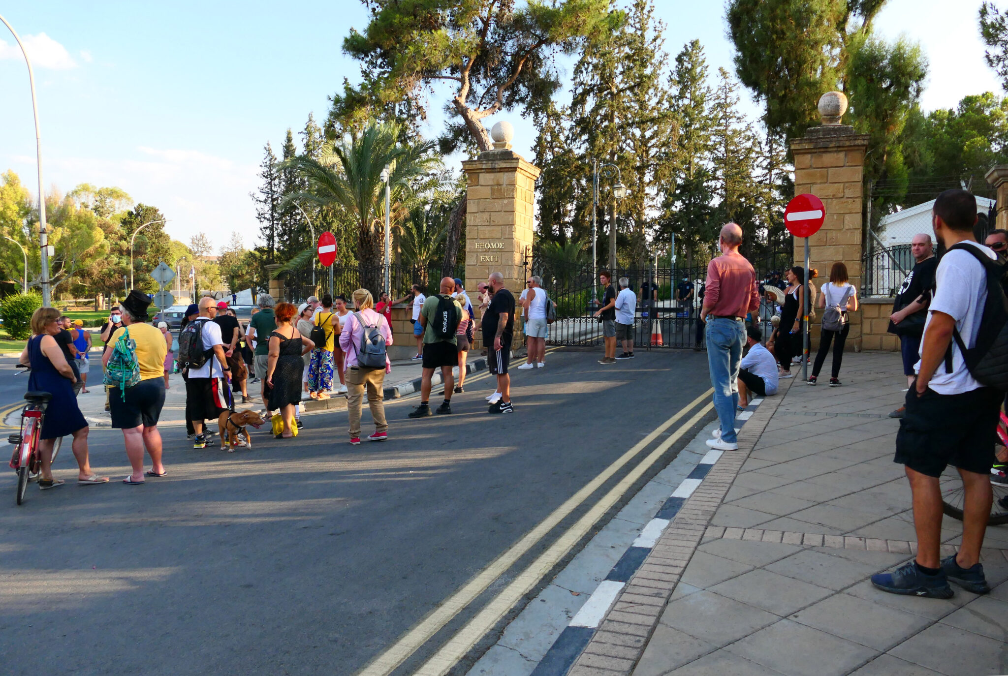 ΦΩΤΟ: Ειρηνική διαμαρτυρία έξω από το Προεδρικό