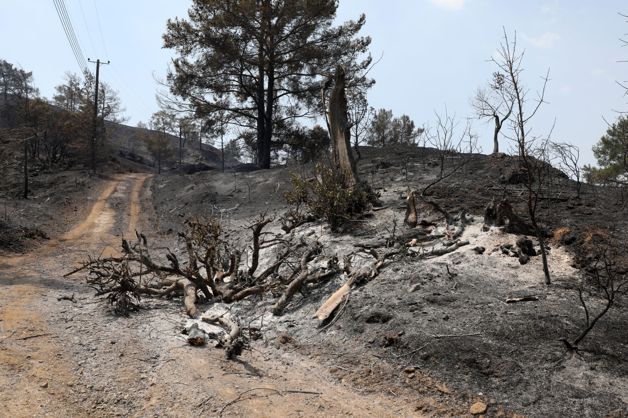 SOS για πλημμύρες από τις πυρόπληκτες περιοχές της Λεμεσού και της Λάρνακας