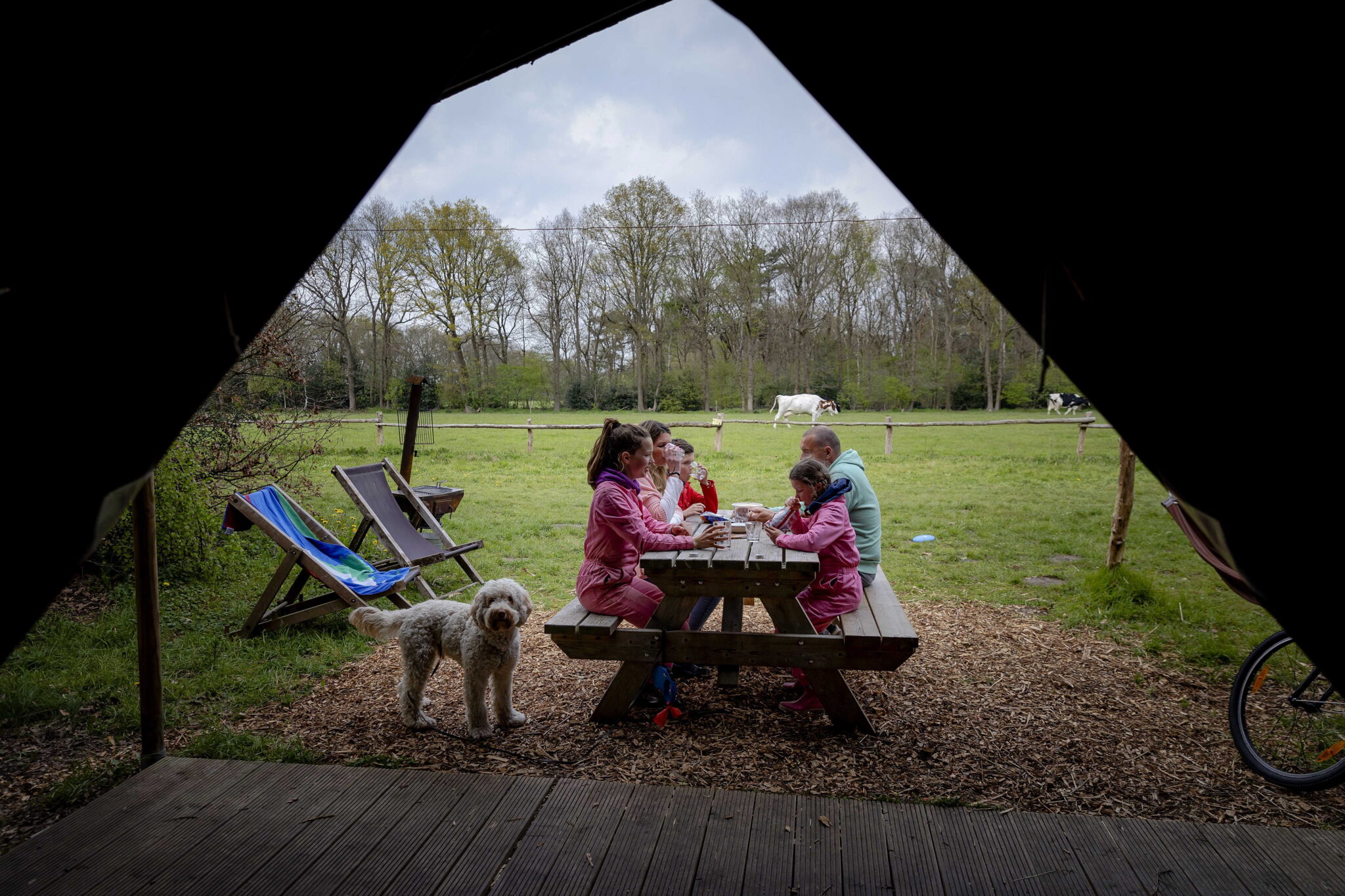 "Λουκέτο" στις κατασκηνώσεις βάζουν τα νέα μέτρα κατά του κορωνοϊού (ΒΙΝΤΕΟ)